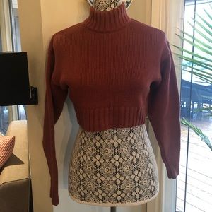 Wilfred free merino wool xs crop sweater
